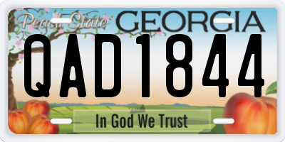 GA license plate QAD1844