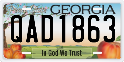GA license plate QAD1863