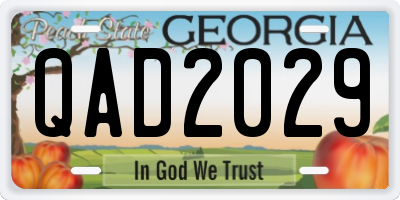 GA license plate QAD2029