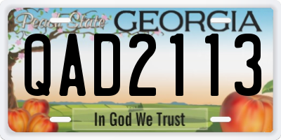 GA license plate QAD2113