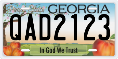 GA license plate QAD2123