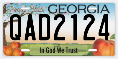 GA license plate QAD2124