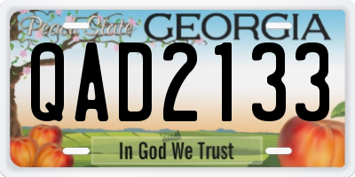 GA license plate QAD2133