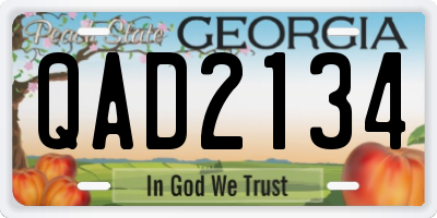 GA license plate QAD2134