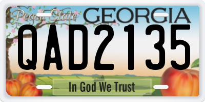 GA license plate QAD2135