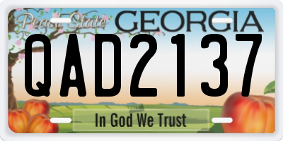 GA license plate QAD2137