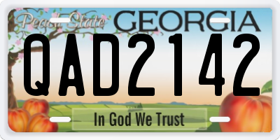 GA license plate QAD2142
