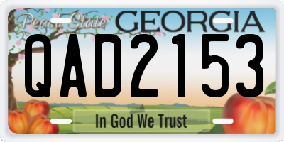 GA license plate QAD2153