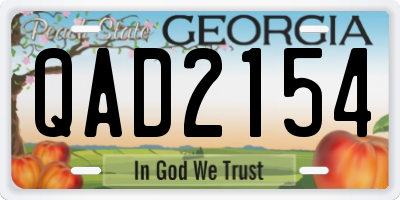 GA license plate QAD2154