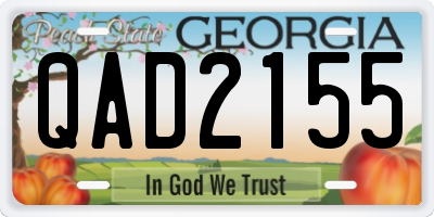 GA license plate QAD2155