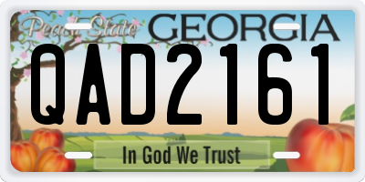 GA license plate QAD2161