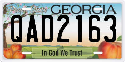 GA license plate QAD2163
