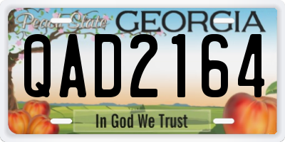 GA license plate QAD2164