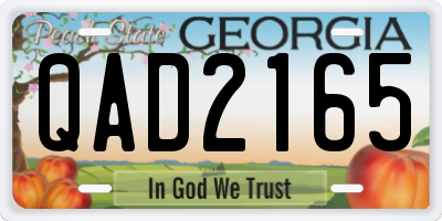 GA license plate QAD2165