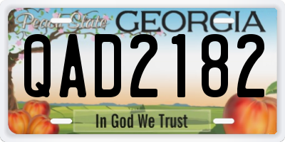 GA license plate QAD2182