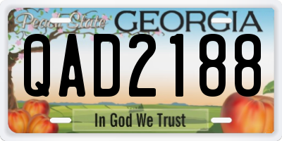 GA license plate QAD2188
