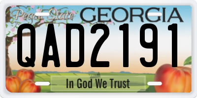 GA license plate QAD2191