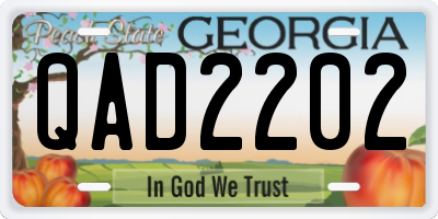 GA license plate QAD2202