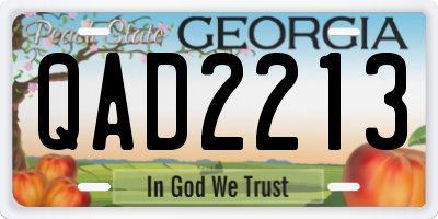 GA license plate QAD2213