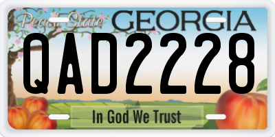 GA license plate QAD2228