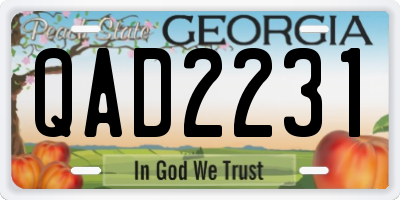 GA license plate QAD2231