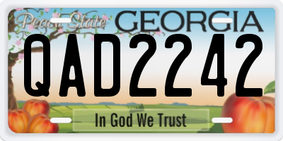 GA license plate QAD2242