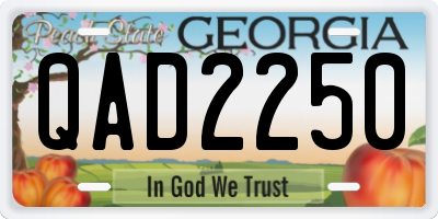 GA license plate QAD2250