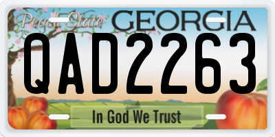 GA license plate QAD2263