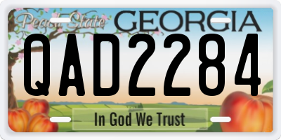GA license plate QAD2284