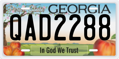GA license plate QAD2288