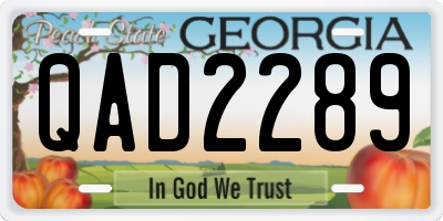 GA license plate QAD2289
