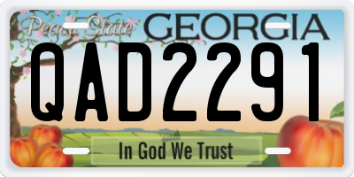 GA license plate QAD2291
