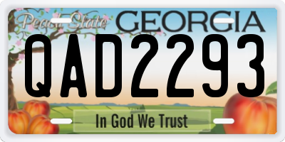 GA license plate QAD2293