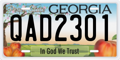 GA license plate QAD2301