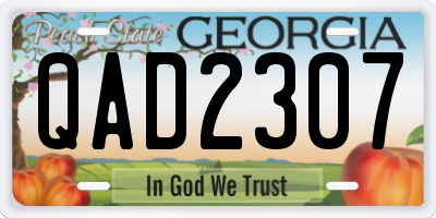 GA license plate QAD2307