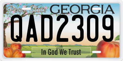 GA license plate QAD2309