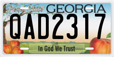 GA license plate QAD2317