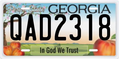 GA license plate QAD2318