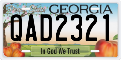 GA license plate QAD2321