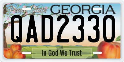 GA license plate QAD2330