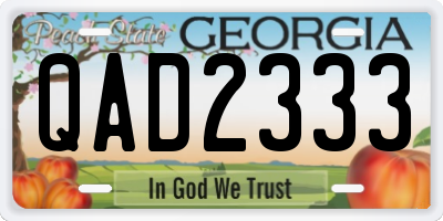 GA license plate QAD2333