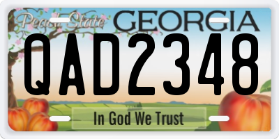 GA license plate QAD2348