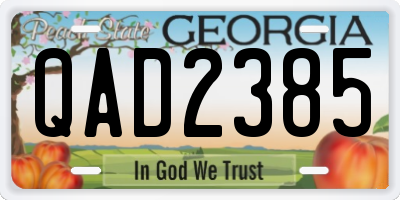GA license plate QAD2385