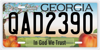 GA license plate QAD2390