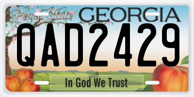 GA license plate QAD2429