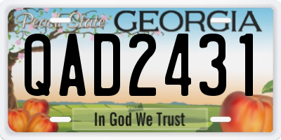 GA license plate QAD2431
