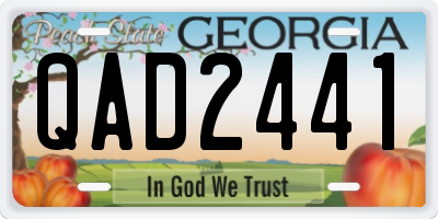 GA license plate QAD2441