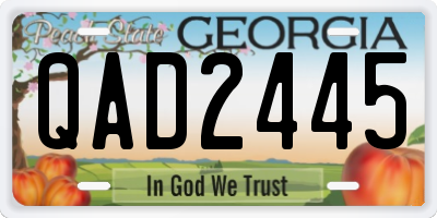 GA license plate QAD2445