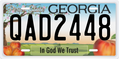 GA license plate QAD2448