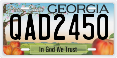 GA license plate QAD2450